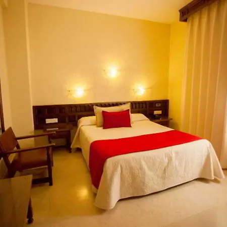 Hotel Sercotel Alfonso Vi