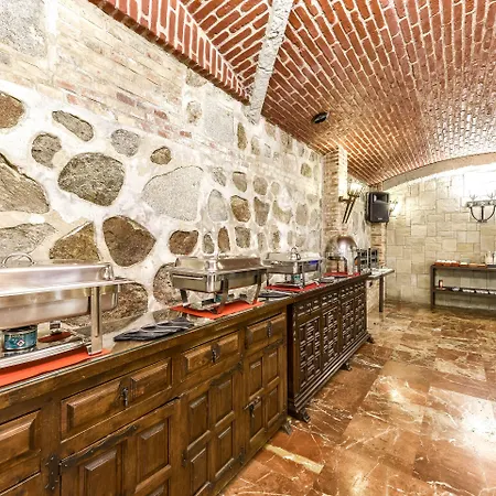 Sercotel Alfonso Vi 4*