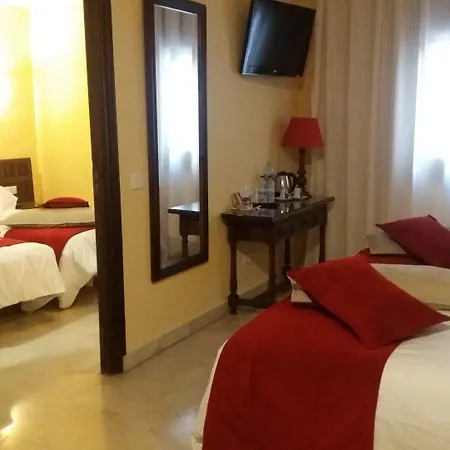 Hotel Sercotel Alfonso Vi