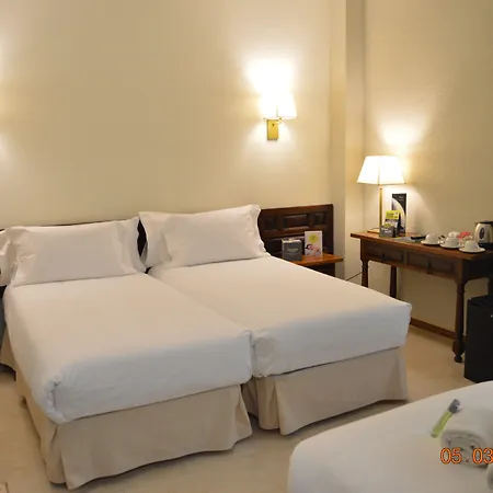 Sercotel Alfonso Vi 4*