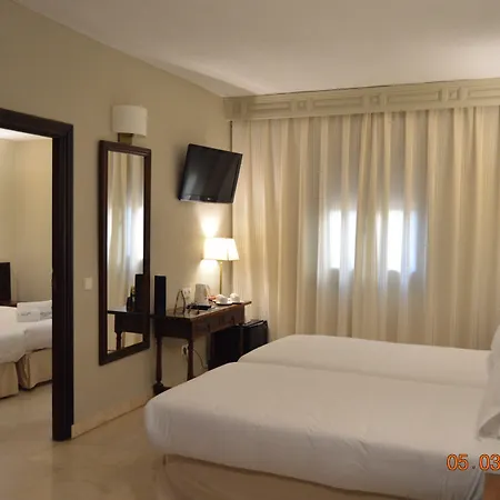 Sercotel Alfonso Vi Hotel