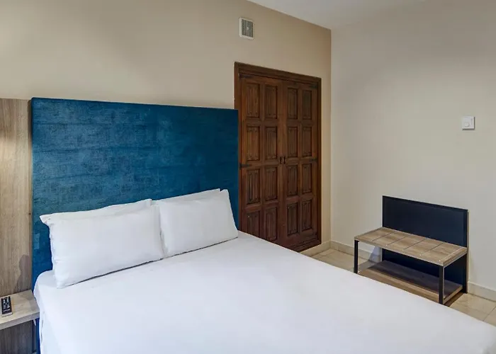 Sercotel Alfonso Vi Hotel Toledo