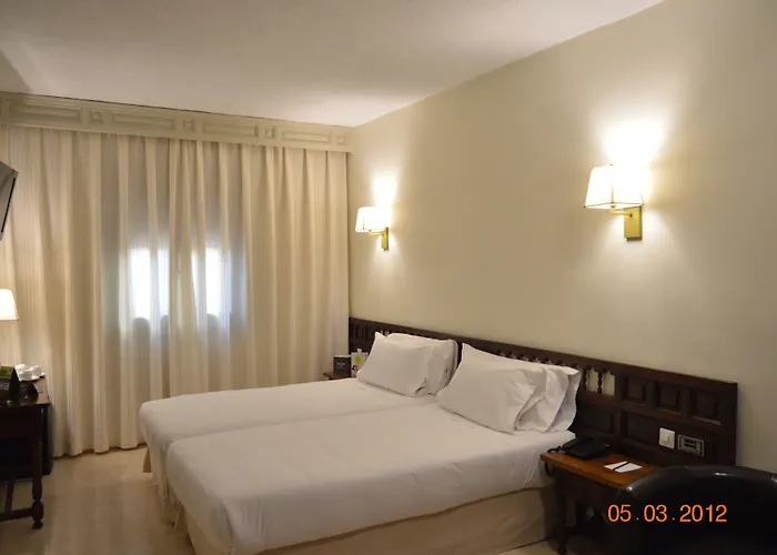 Sercotel Alfonso Vi 4* Toledo