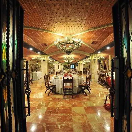Sercotel Alfonso Vi