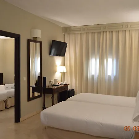 Sercotel Alfonso Vi 4*
