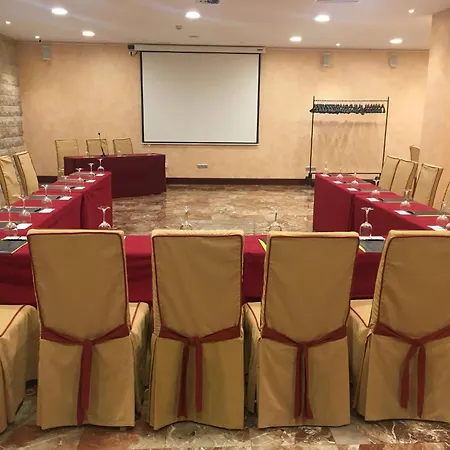 Sercotel Alfonso Vi Hotel 4*