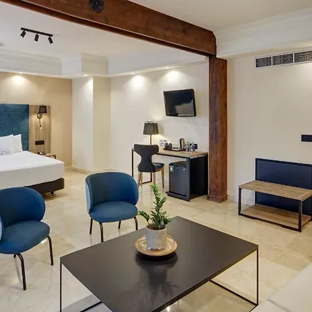 Sercotel Alfonso Vi Hotel Toledo