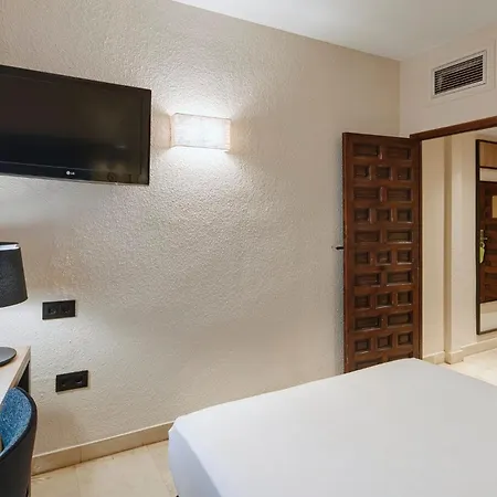 Sercotel Alfonso Vi Hotell 4*