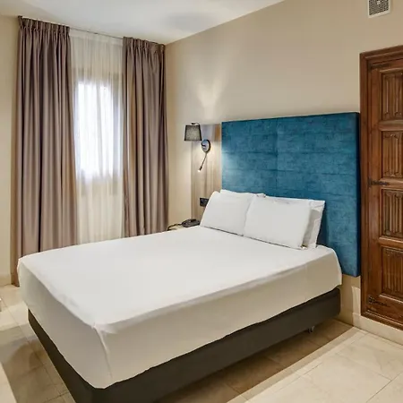 Sercotel Alfonso Vi 4* Toledo
