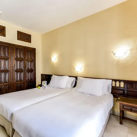Sercotel Alfonso Vi Hotel Toledo