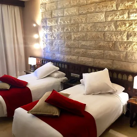 Sercotel Alfonso Vi Hotel