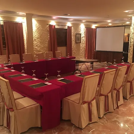 Sercotel Alfonso Vi Hotel Toledo