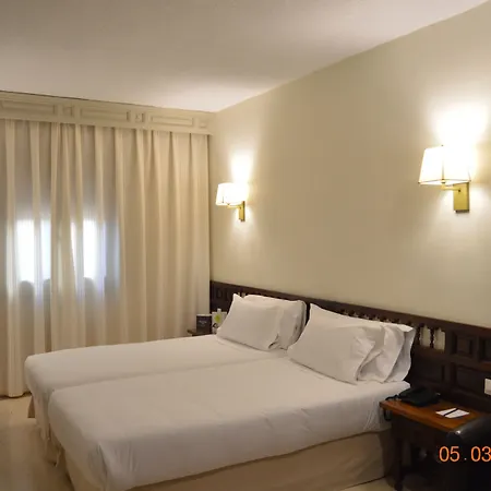 Sercotel Alfonso Vi 4* Toledo