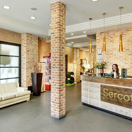 Sercotel Alfonso Vi Hotel Toledo