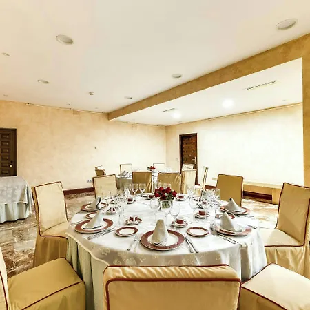Sercotel Alfonso Vi 4* Toledo
