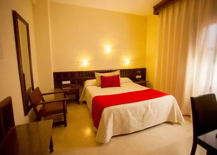 Hotel Sercotel Alfonso Vi