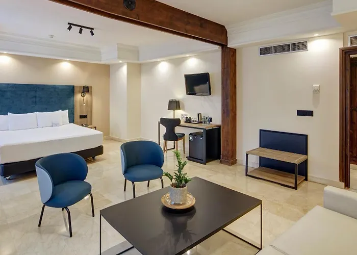 Sercotel Alfonso Vi Hotel Toledo