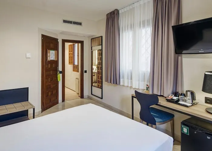 Hotel Sercotel Alfonso Vi 4*