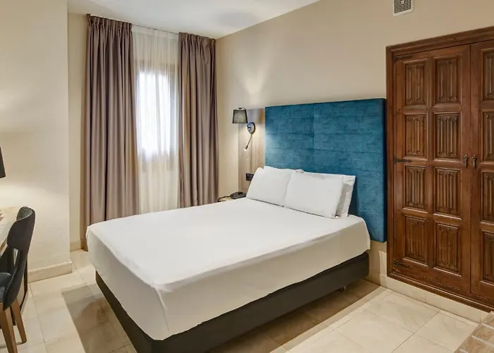 Sercotel Alfonso Vi 4* Toledo