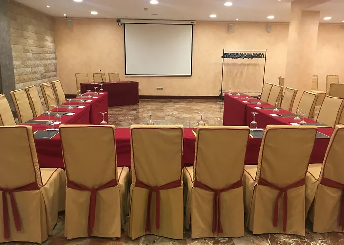 Sercotel Alfonso Vi Hotel