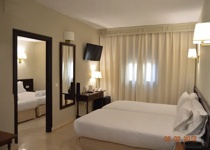 Sercotel Alfonso Vi Hotel