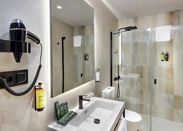 Hotel Sercotel Alfonso Vi